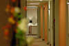 Eden Hotel 